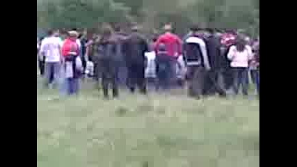 Palamarca