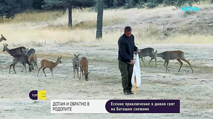 "Дотам и обратно": Есенно приключение в дивия свят на Баташки снежник в Родопите (ВИДЕО)