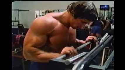 Arnold Schwarzenegger - Biceps