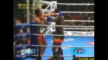 / Knockouts / 