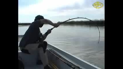 Big Fish