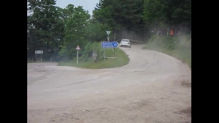 Rally vida 2010