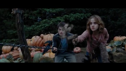 Hermione Granger Kills Buckbeak!