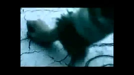 Celldweller - Tragedy (bee Gees Cover) 