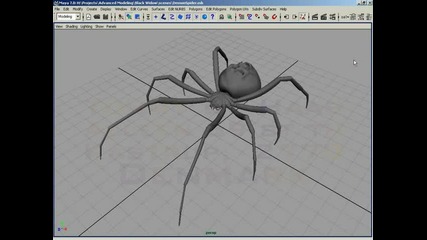 3d Buzz Maya Advanced Modeling Black Widow