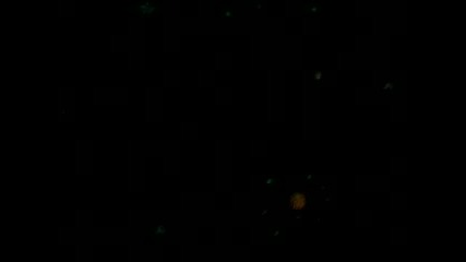 Our Solar System