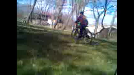 trikove s kolela