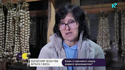 Качеството срещу цената: Битката за българския чесън