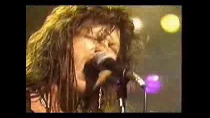 Winger - Rainbow in the Rose