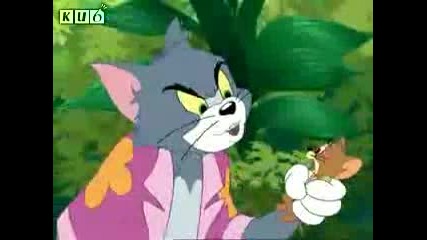 The new Tom and Jerry cartoons