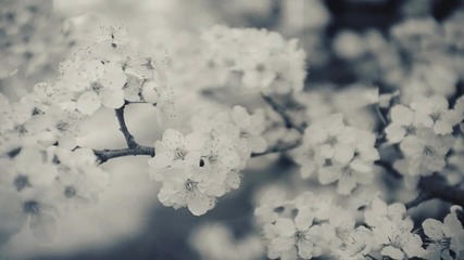 Bliss - Trust In Your Love (ft. Ane Brun)