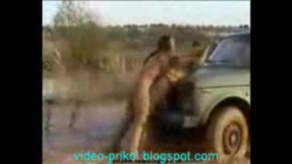 Авто Разборки