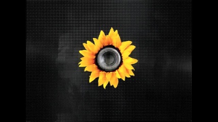 Loco Dice - Definition (nic Fanciulli remix)