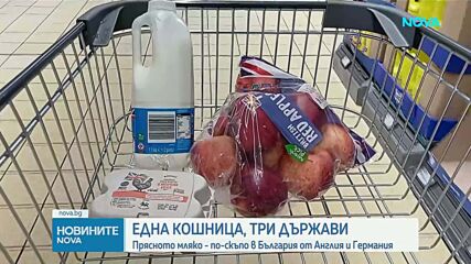 Проверка на NOVA: Колко струват основни храни в България и Европа