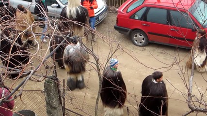 Сурва Струмско 01.01.2013(3)