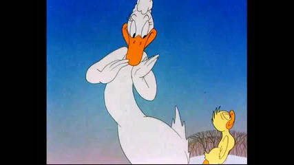 Warner Bros - 101444 Booby Hatched Lt 