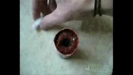 How To Make Colored Smoke Bomb