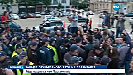 Яйца полетяха към парламента в знак на протест