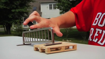 Тоя Е Майстор На Fingerboard