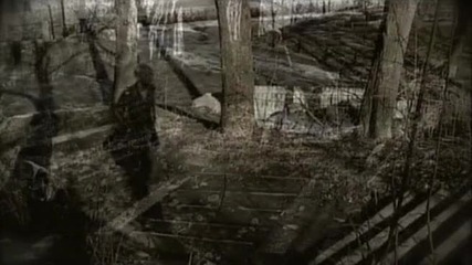 Insomnium - The Elder
