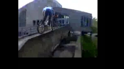Trial