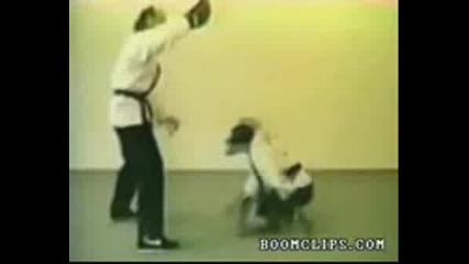 Kung Fu Maimuna