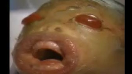 извънземно бебе се роди в индия