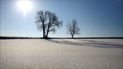 Jan Sulocki - Noctiflorus (original Mix)