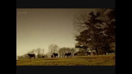 Bbc Horizon - Are We Still Evolving 2 Of 4