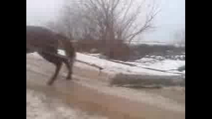 Nai Silniq Kon Na Ustina