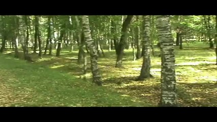 Релакс - Savvas Savva - Joyful Dolphins