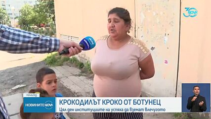 Акция по изваждане на крокодила, отглеждан в квартал на София (ВИДЕО)