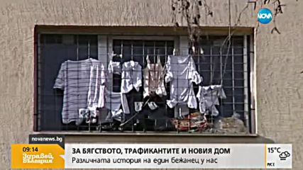 Да се влюбиш в България: Различната история на един бежанец