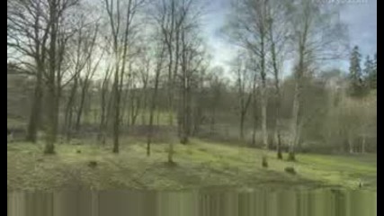 Една Година В 40 Секунди