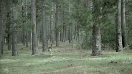 На Лов! 