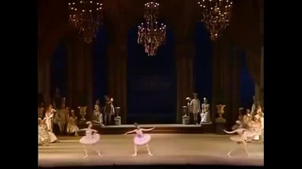 The Sleeping Beauty Kirov/marinsky Ballet 25