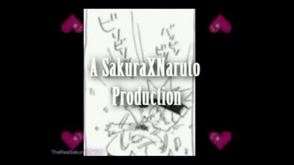 Sakura Tribute