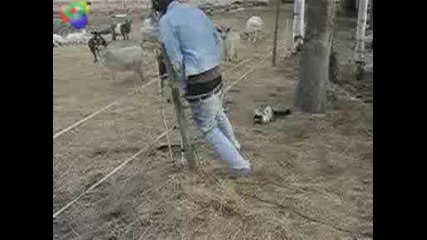 33ebac47.flv