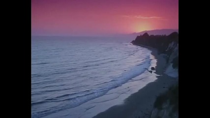 Dawn Chorus Ignites - Am I Here