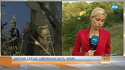 МЕРКИ СРЕЩУ АФРИКАНСКАТА ЧУМА: Промени в закона за лова