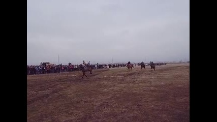 P3030030