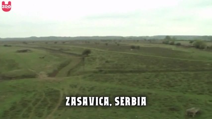 Магарешко сирене