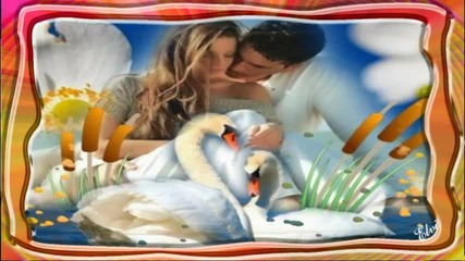 Cafe Quijano - Poesia de amor