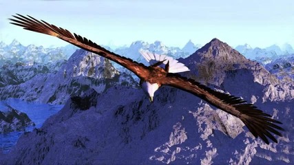 Karu Manta - Flying Condor