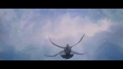 Pink Floyd The Wall - Comfortably Numb 