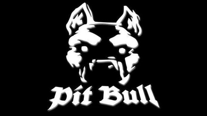 Pitbull - Room Service