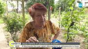 В Монтанско все още чакат обезщетения за наводнените си къщи