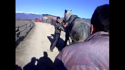 Mov20131222_002