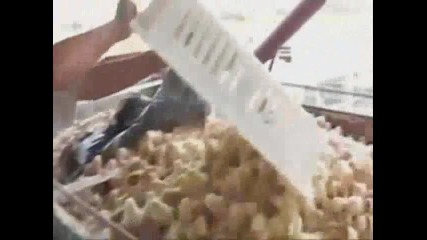 Ето защо избрах вегетарианството..гледайте и се замислете!