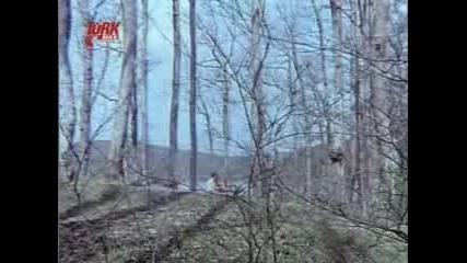 Hayatim Senindir (1971) Hulya Kocyigit 1/8